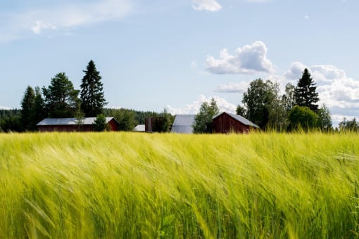 farm for sale