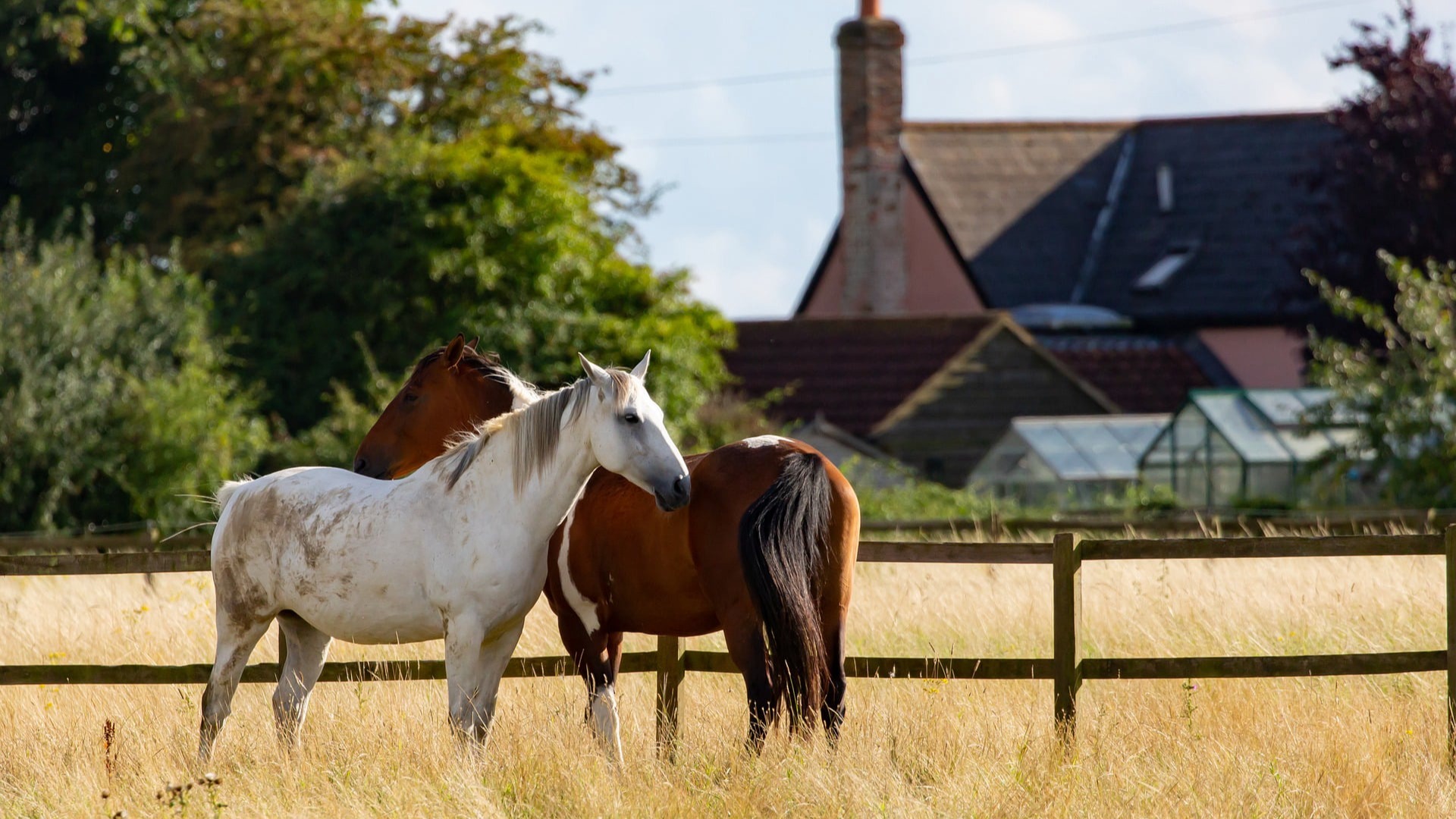ranch for sale